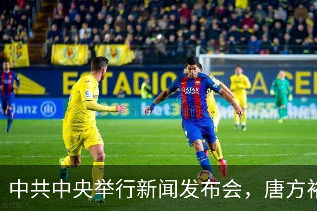中共中央举行新闻发布会，唐方裕：《决定》的起草是在党中央领导下进行的