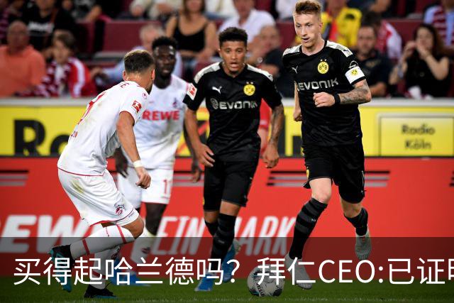 买得起哈兰德吗？拜仁CEO:已证明能签下英超球员，但我们有凯恩了