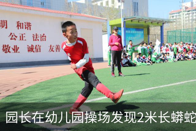 园长在幼儿园操场发现2米长蟒蛇,警察赶到后却听到其腹腔传来哭声