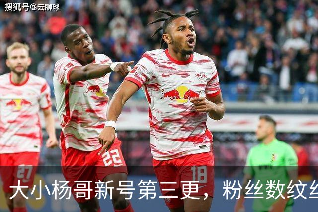 大小杨哥新号第三更，粉丝数纹丝不动