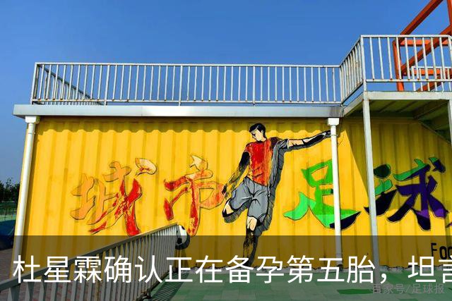 杜星霖确认正在备孕第五胎，坦言就算张纪中没钱也会和他在一起