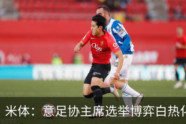 米体：意足协主席选举博弈白热化，14家俱乐部今日线上开会讨论人选