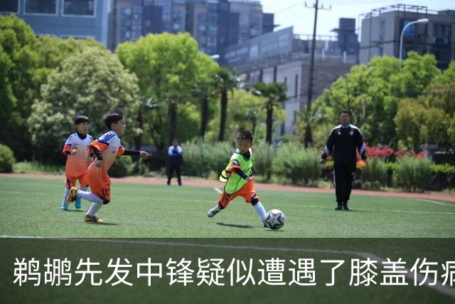 鹈鹕先发中锋疑似遭遇了膝盖伤病他可能需要长期缺阵？