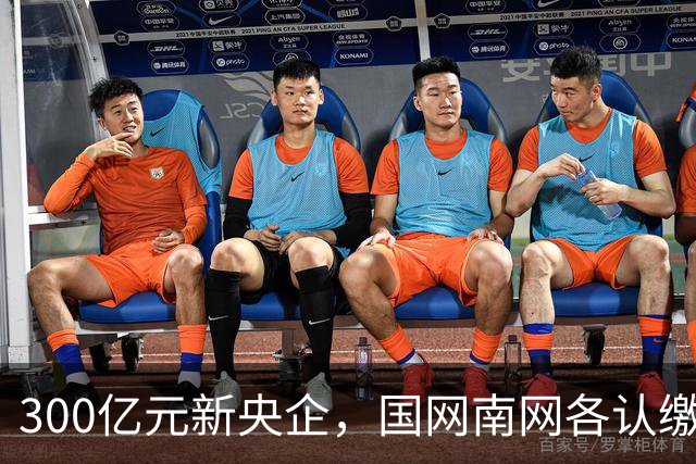 300亿元新央企，国网/南网各认缴37.5亿元