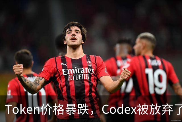 Token价格暴跌，Codex被放弃了
